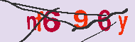 Codice captcha